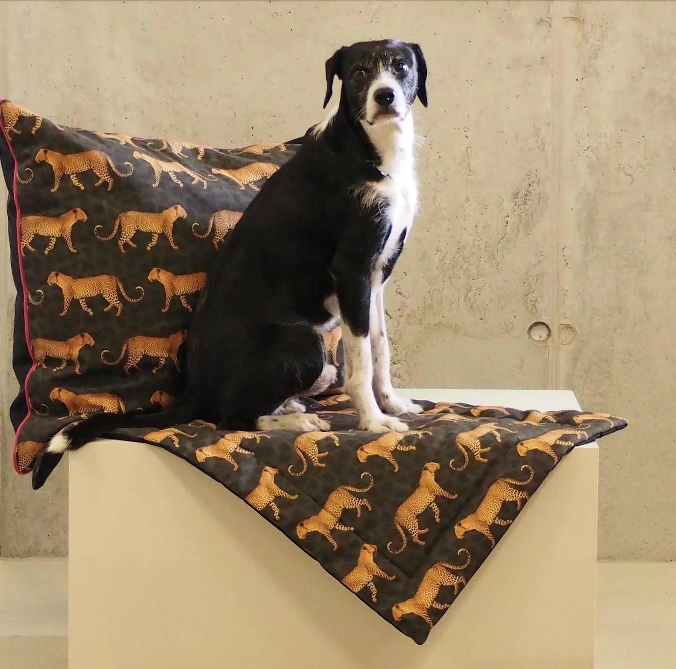 Hundebett -  Leopard