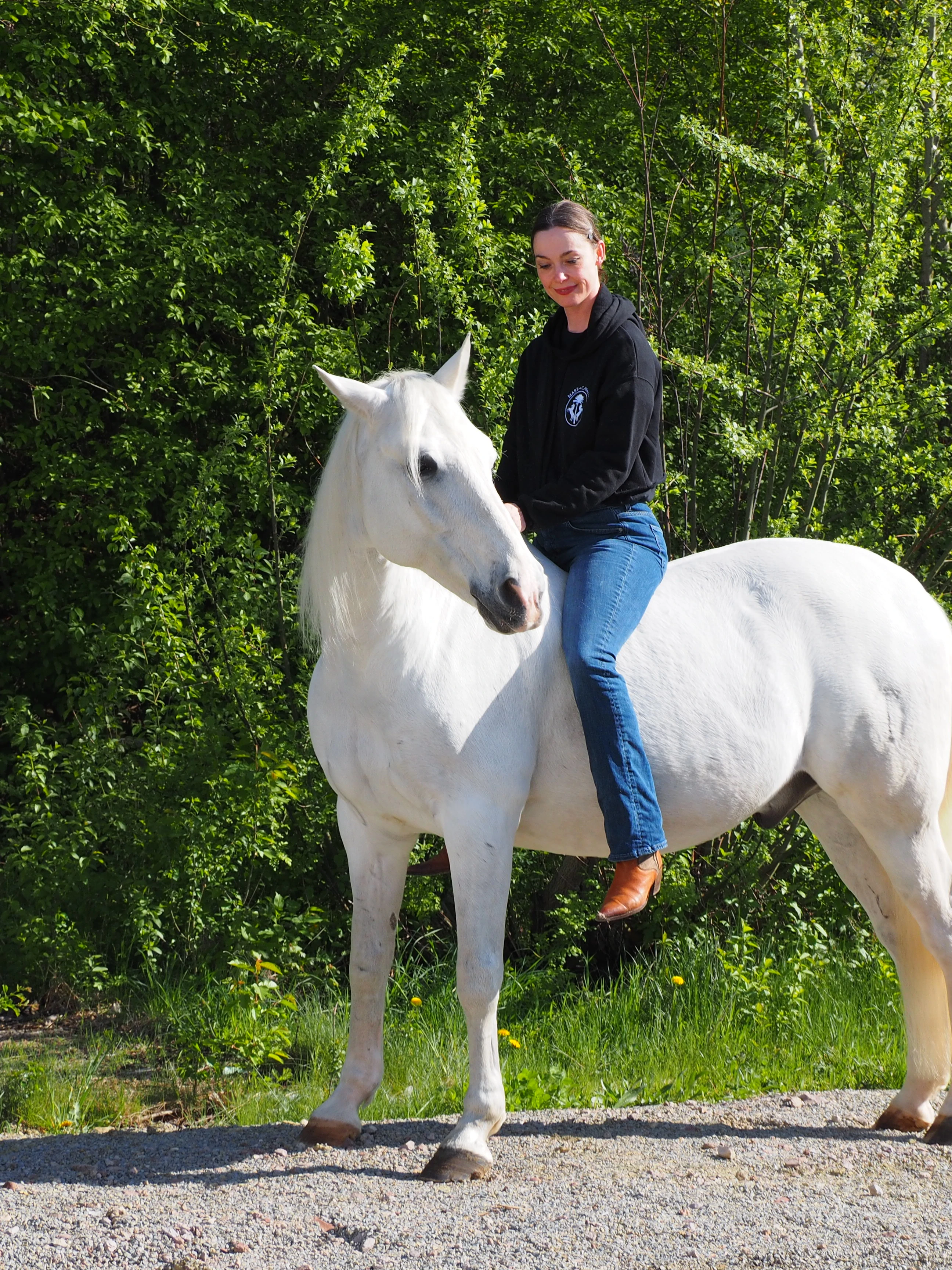 Mare e Cavallo Crop Sweater 