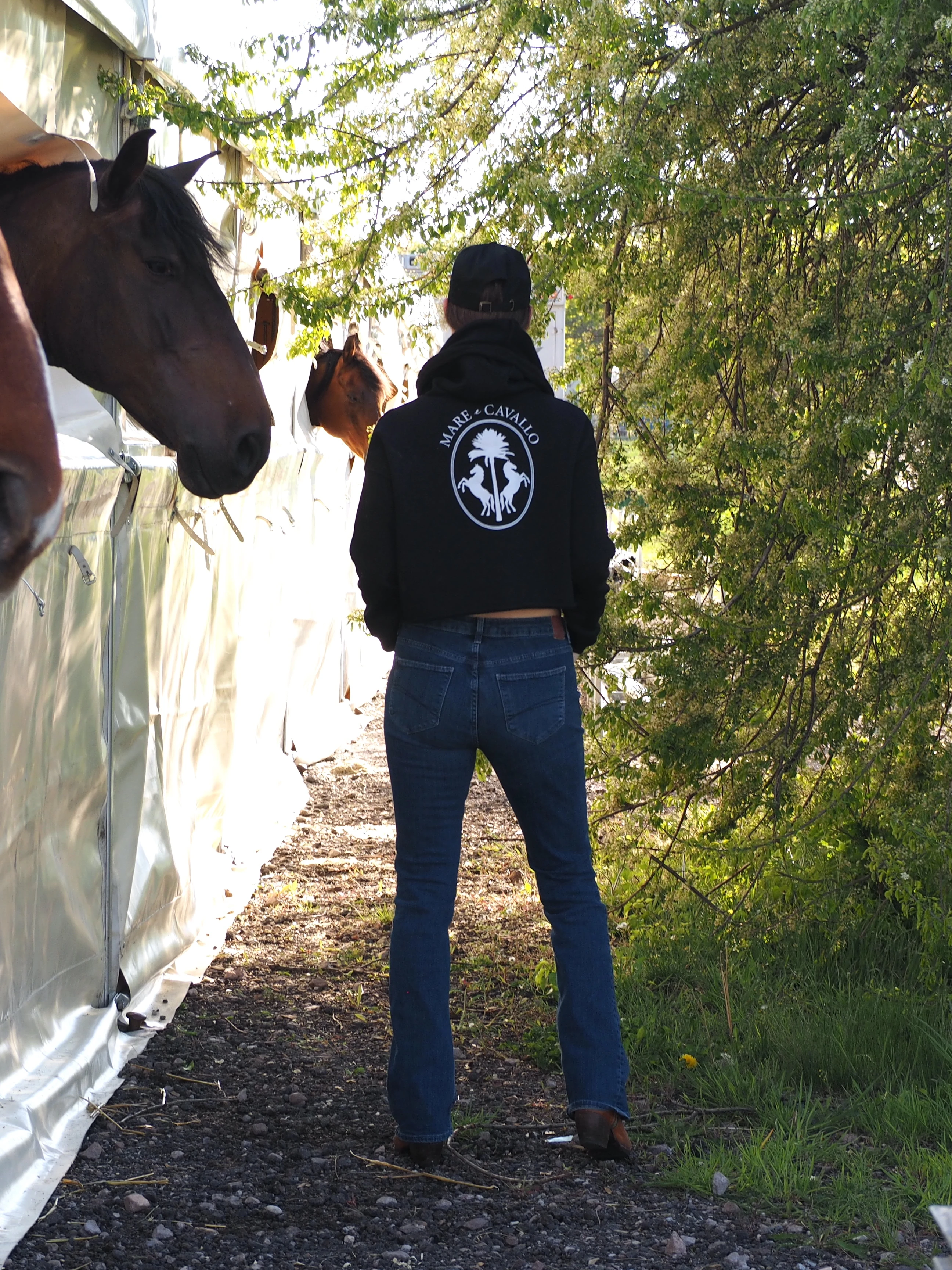 Mare e Cavallo Crop Sweater 