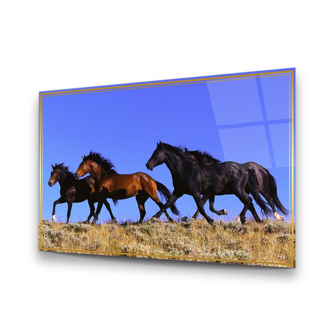 Stray Horses - Premium Tempered Glass Wall Art Horizontal