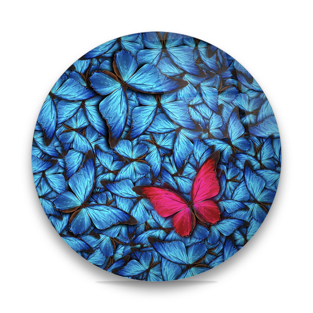 Butterfly Illustration - Circle Glass Art