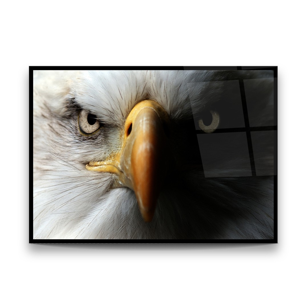 Eagle Portrait - Horizontal Glass Art