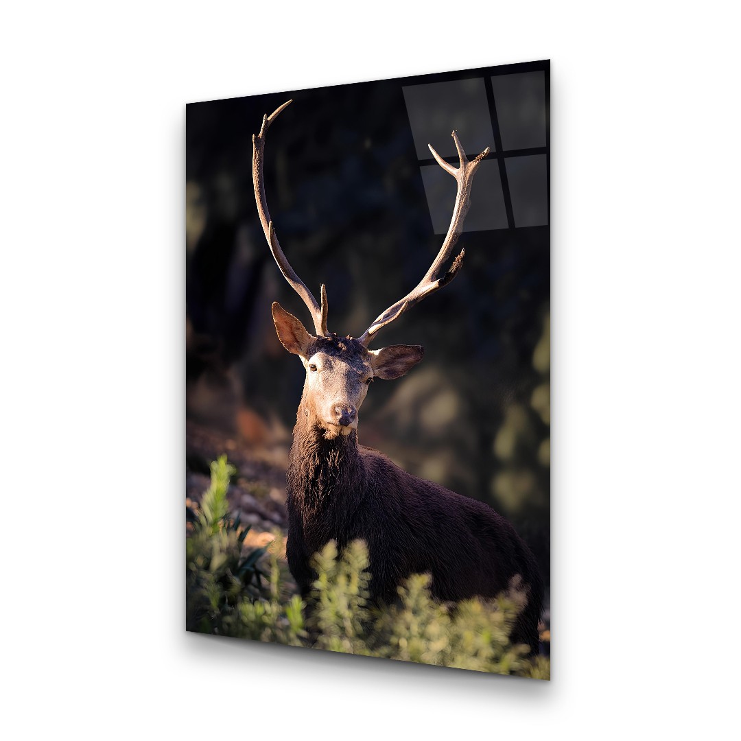 Brown Deer - Rectangle Glass Art