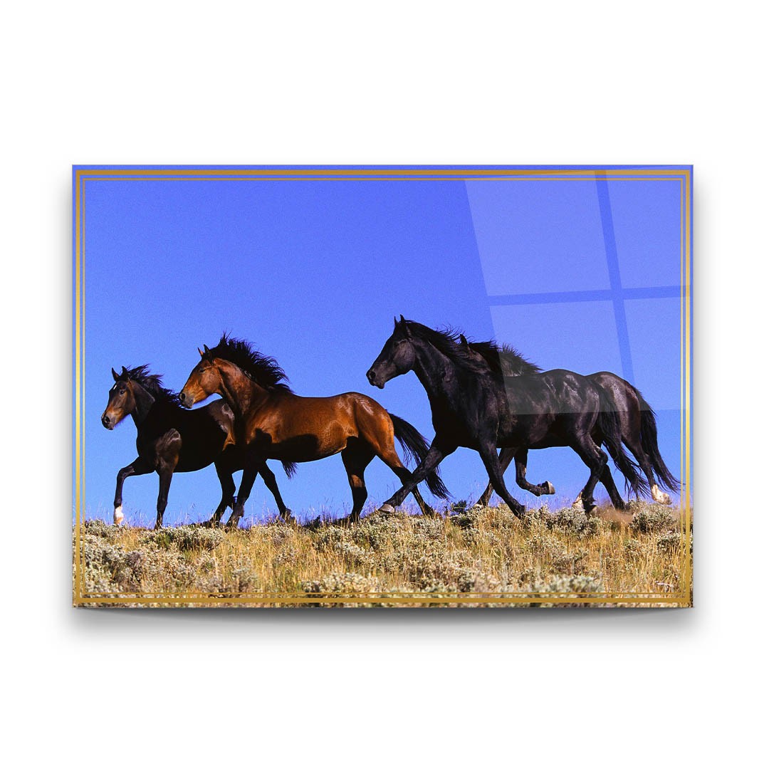 Stray Horses - Premium Tempered Glass Wall Art Horizontal