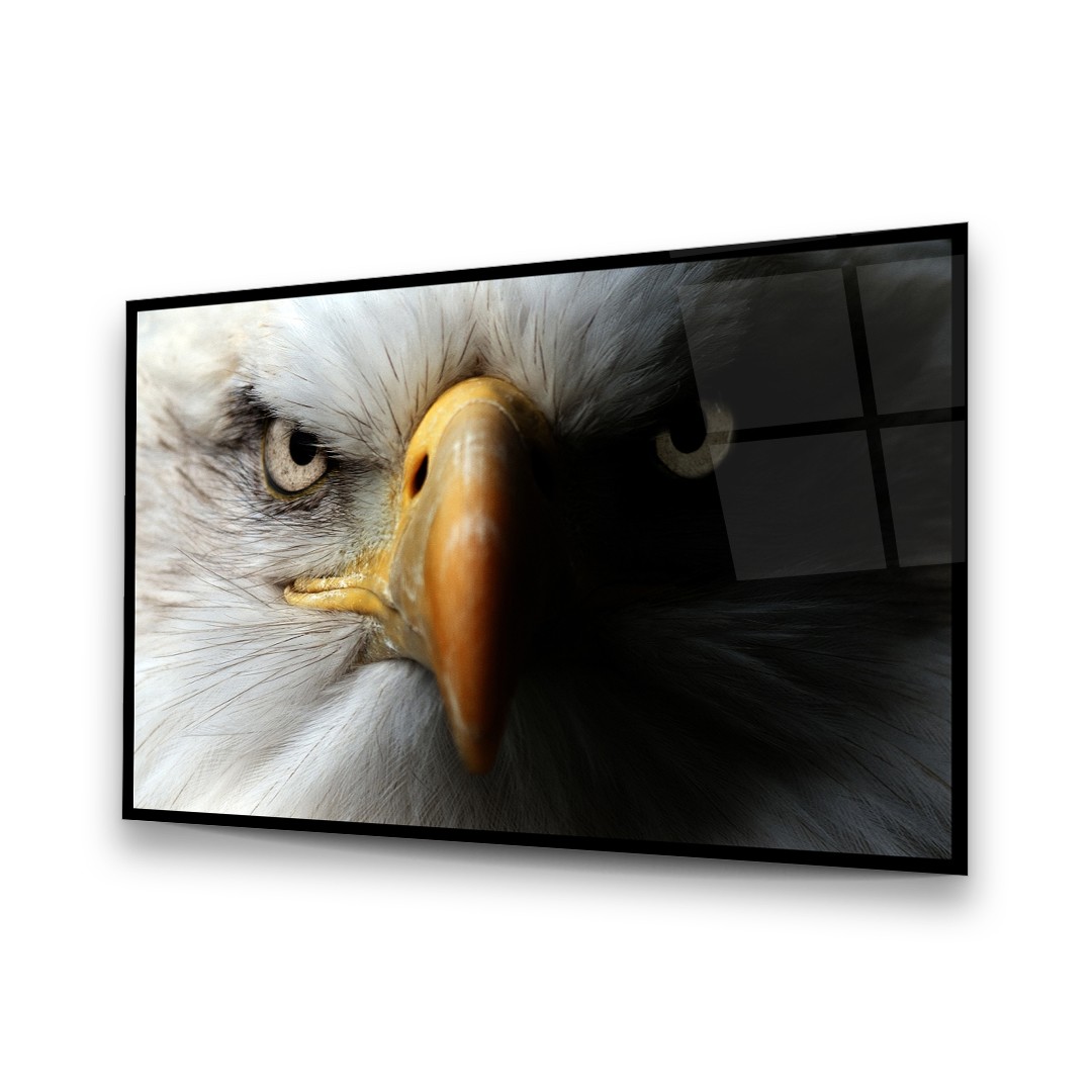 Eagle Portrait - Horizontal Glass Art