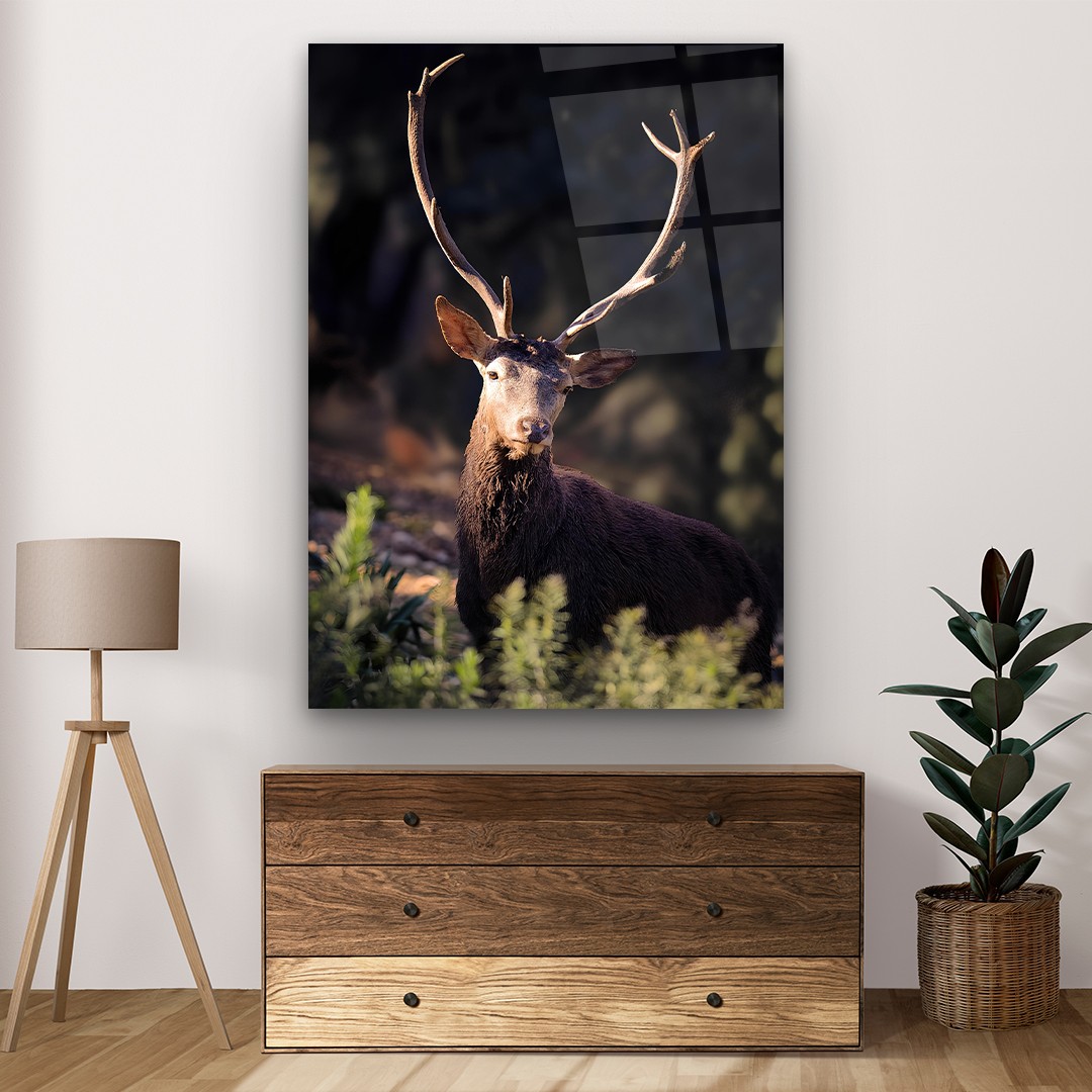 Brown Deer - Rectangle Glass Art