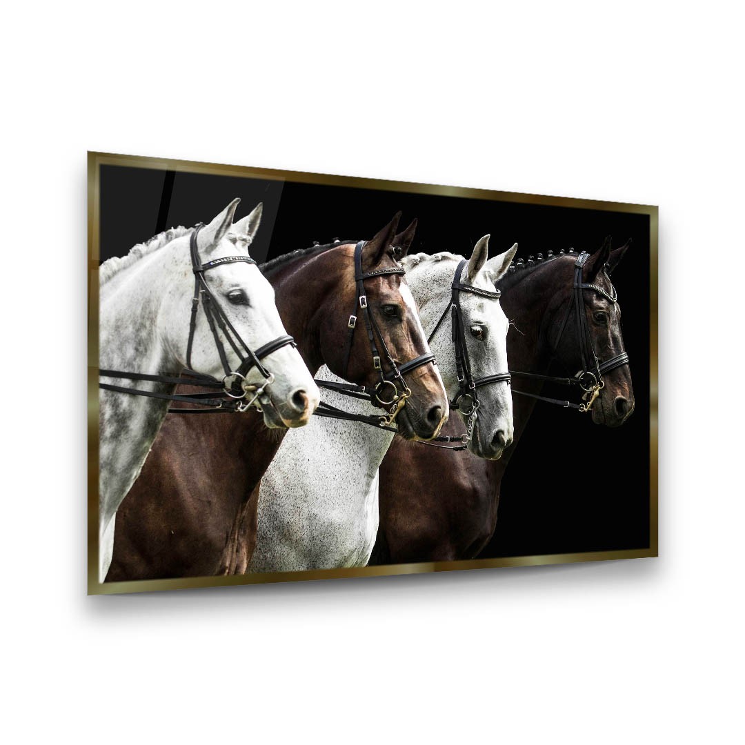 Horses Ready to Race - Premium Tempered Glass Wall Art Horizontal