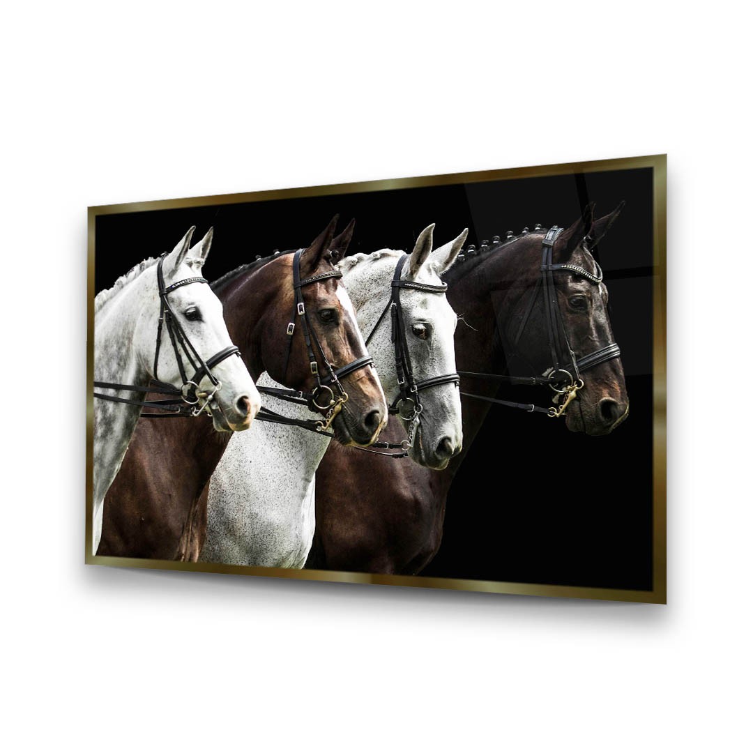 Horses Ready to Race - Premium Tempered Glass Wall Art Horizontal