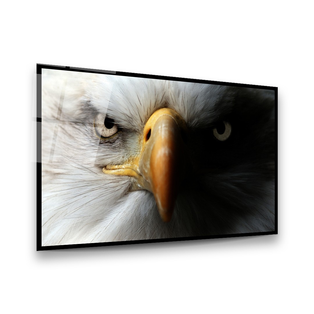 Eagle Portrait - Horizontal Glass Art