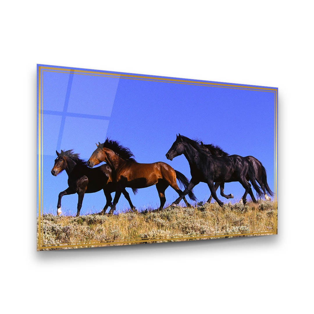 Stray Horses - Premium Tempered Glass Wall Art Horizontal