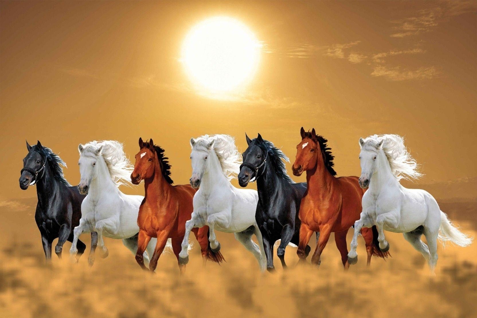 Sunset Horses - Premium Tempered Glass Wall Art Horizontal