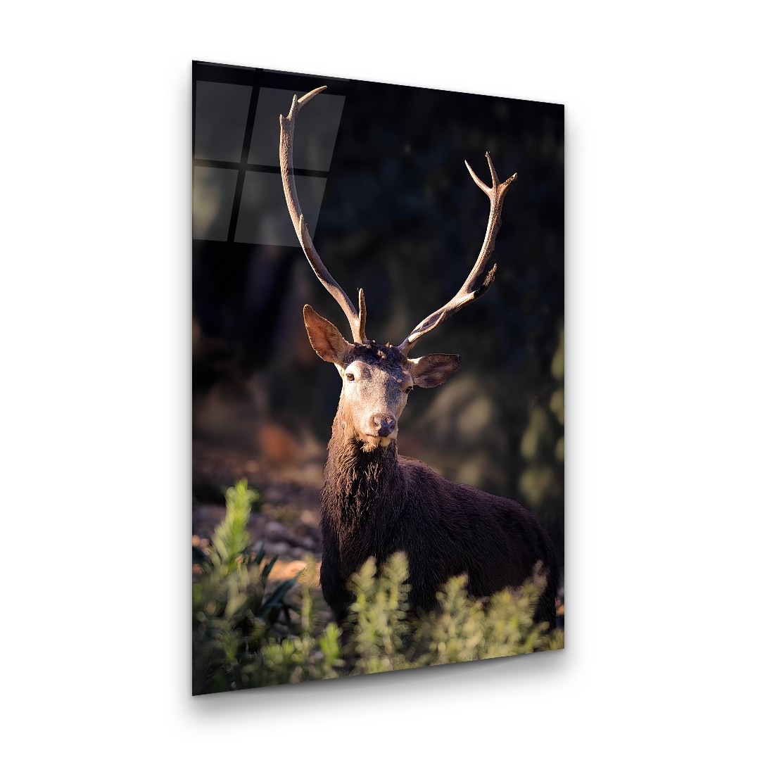 Brown Deer - Rectangle Glass Art