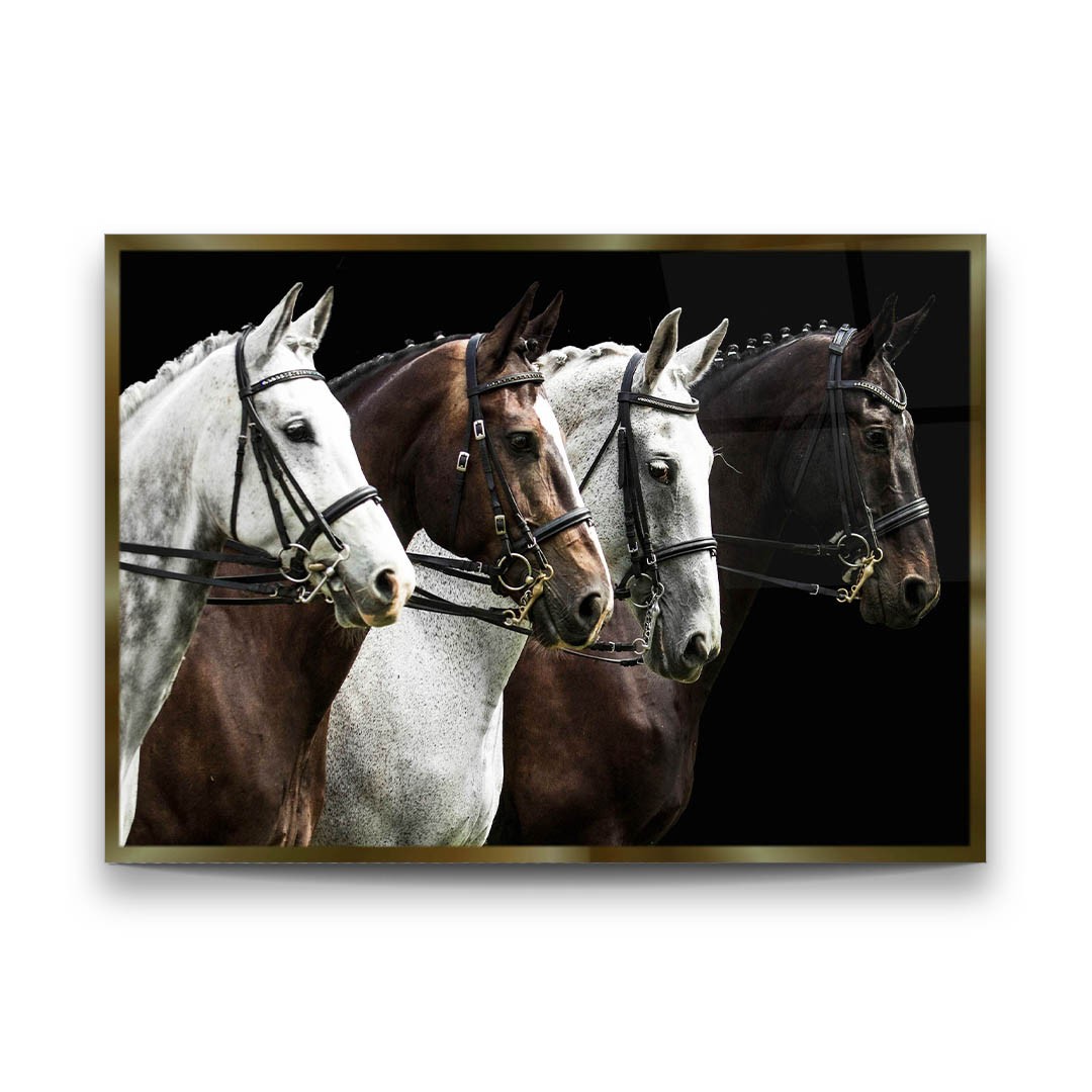 Horses Ready to Race - Premium Tempered Glass Wall Art Horizontal