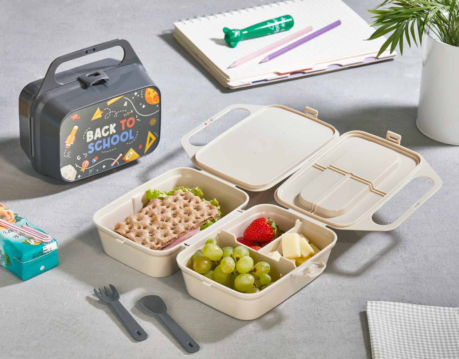 Cutie cu maner pentru Prânz CARRY & EAT - Antracit