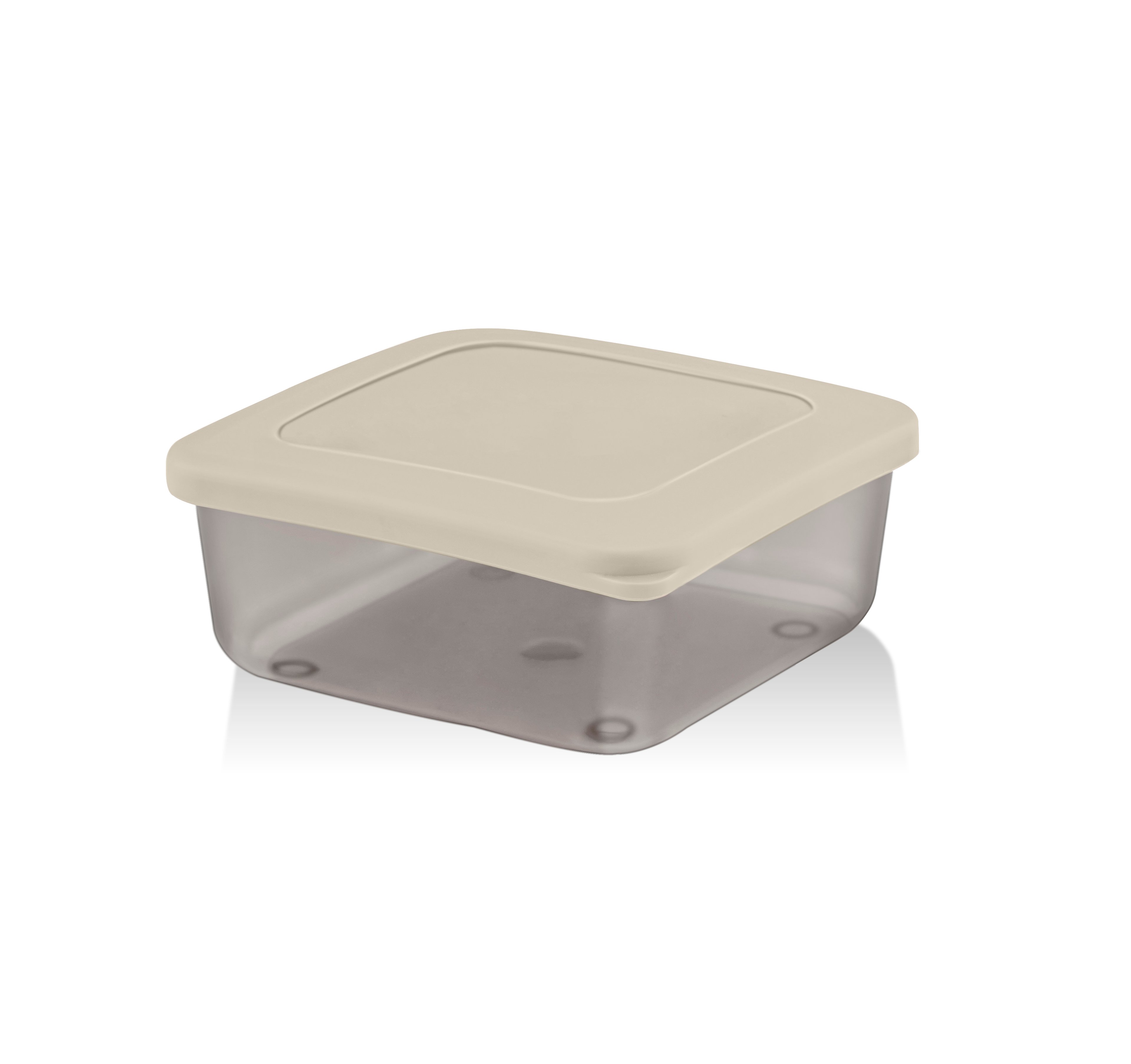 Set de Recipiente de Depozitare Practice 300 ml (4 buc) - Mix