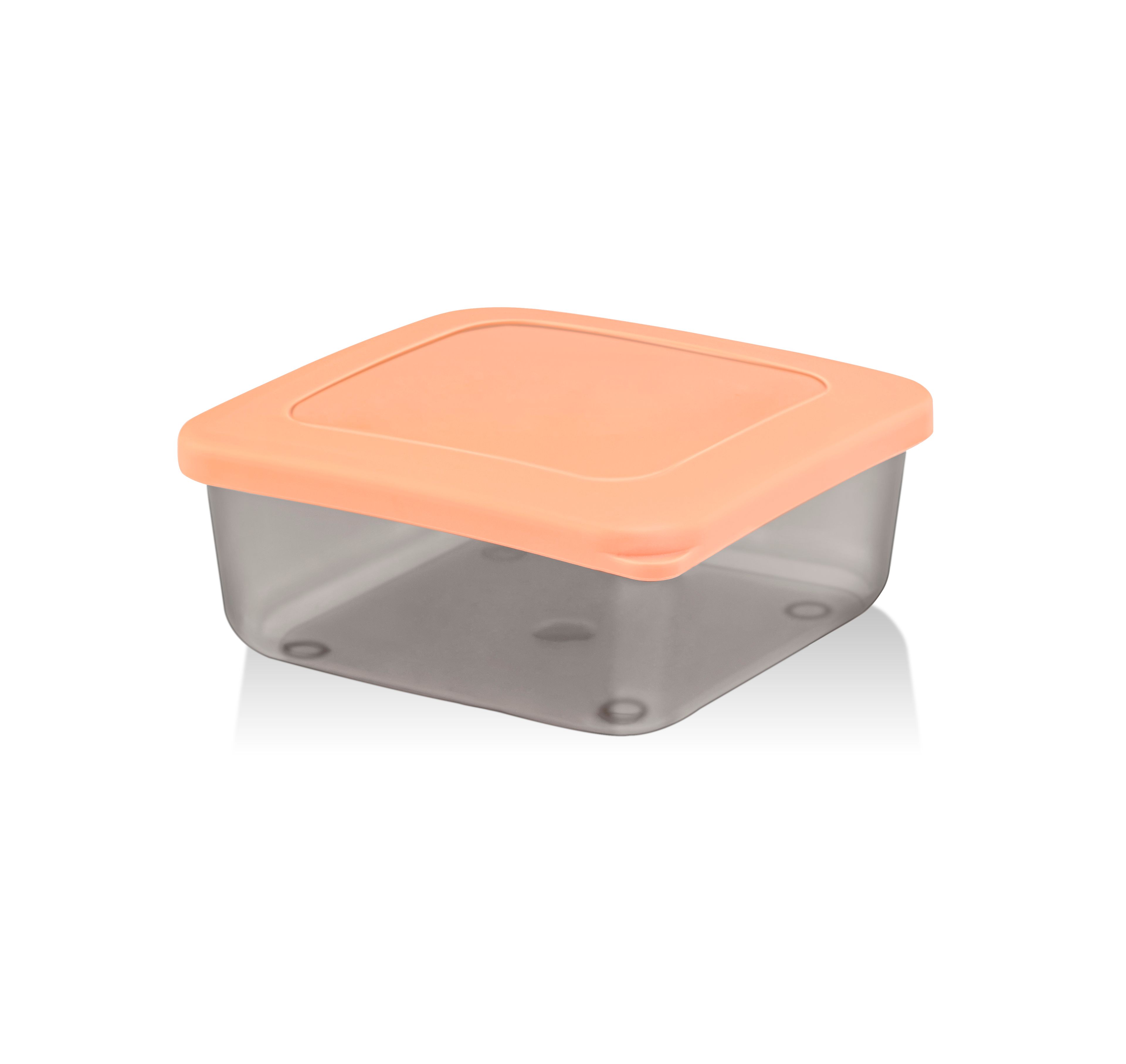 Set de Recipiente de Depozitare Practice 300 ml (4 buc) - Mix