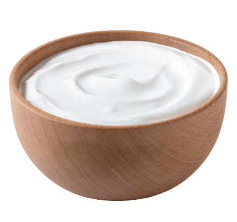 Yoğurt