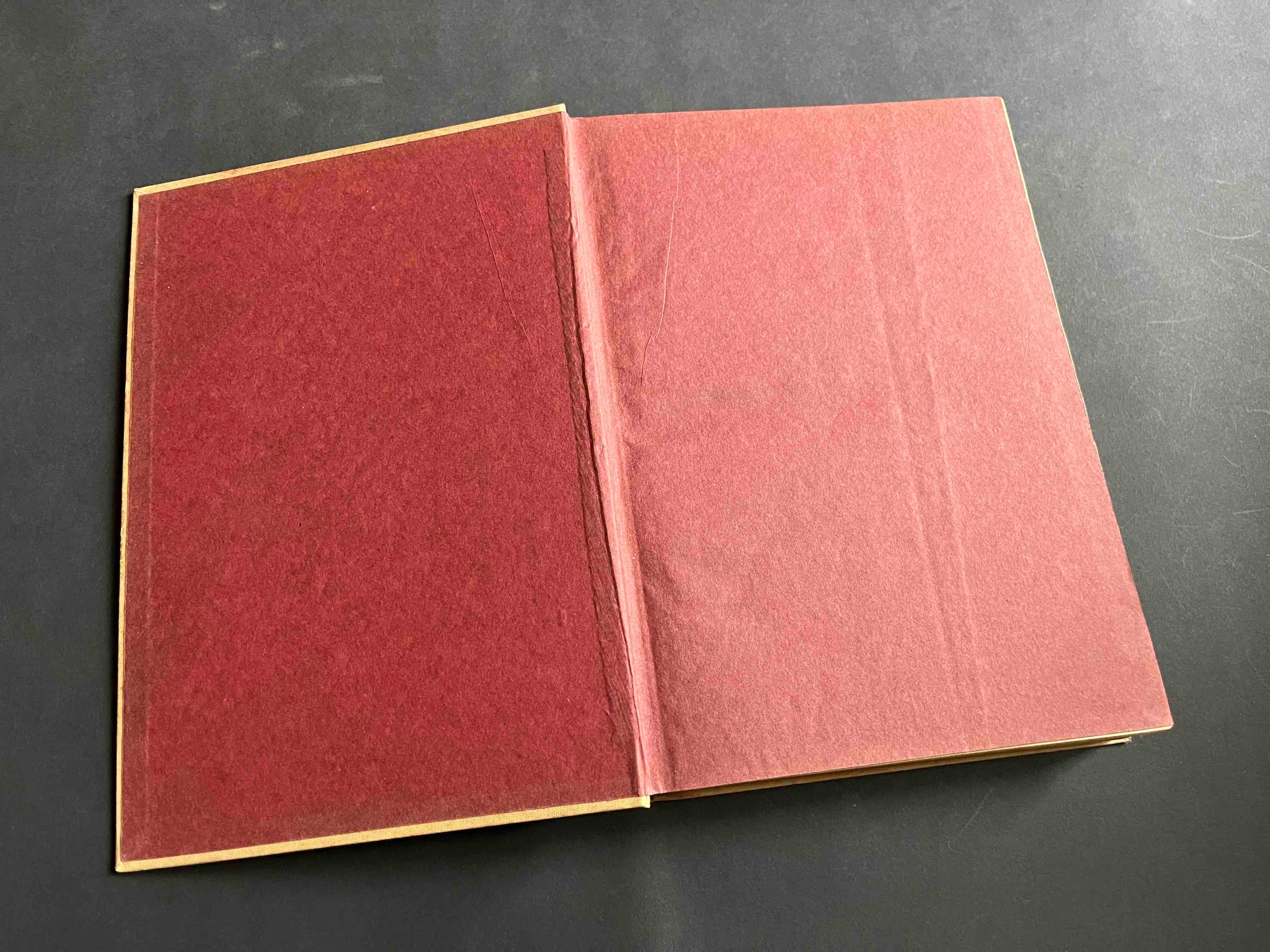 Die Kraftfahrzeuge und ihre Behandlung Buch 3. Auflage 1920er Jahre