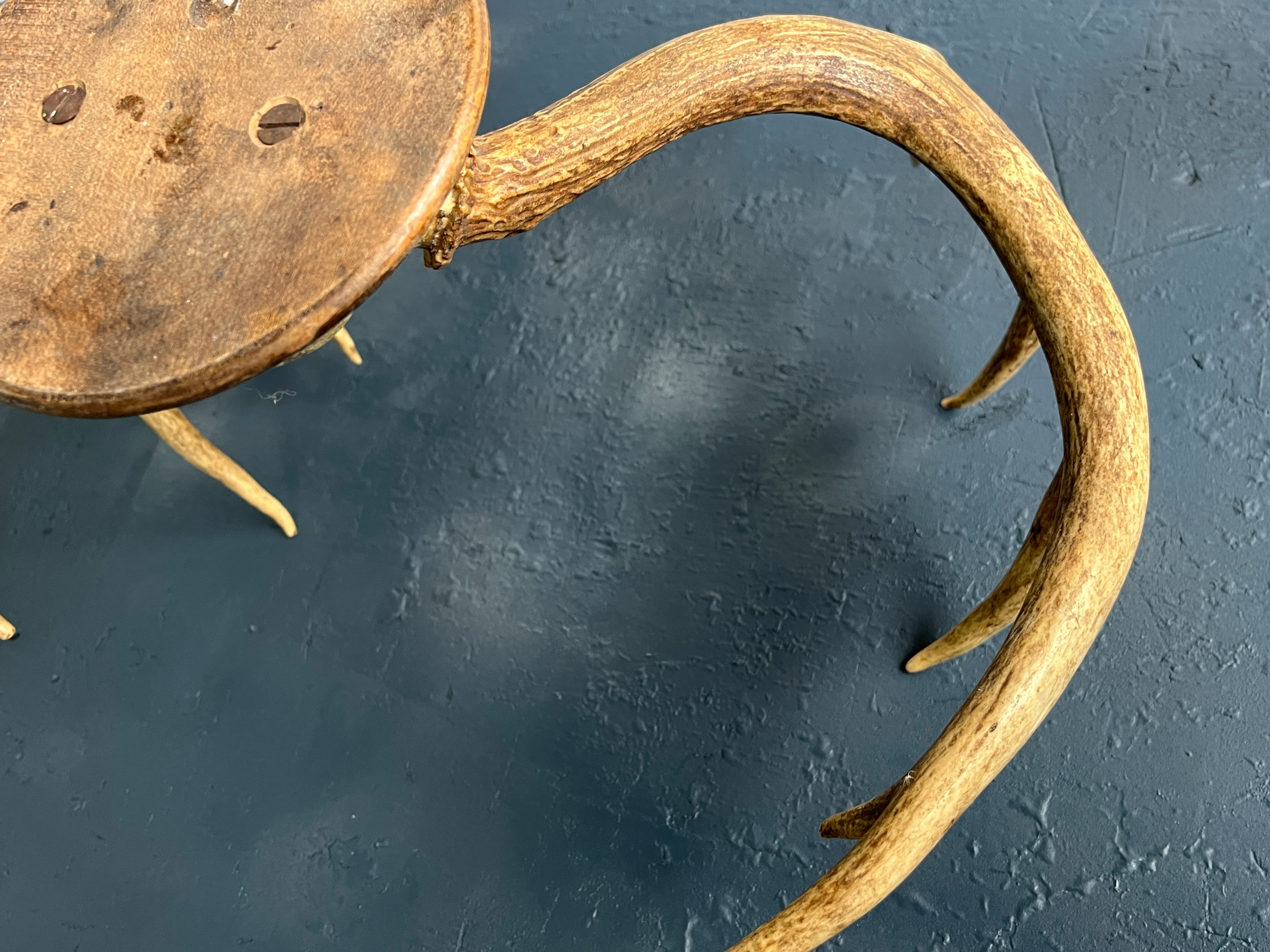 Hirschgeweih 12 Ender