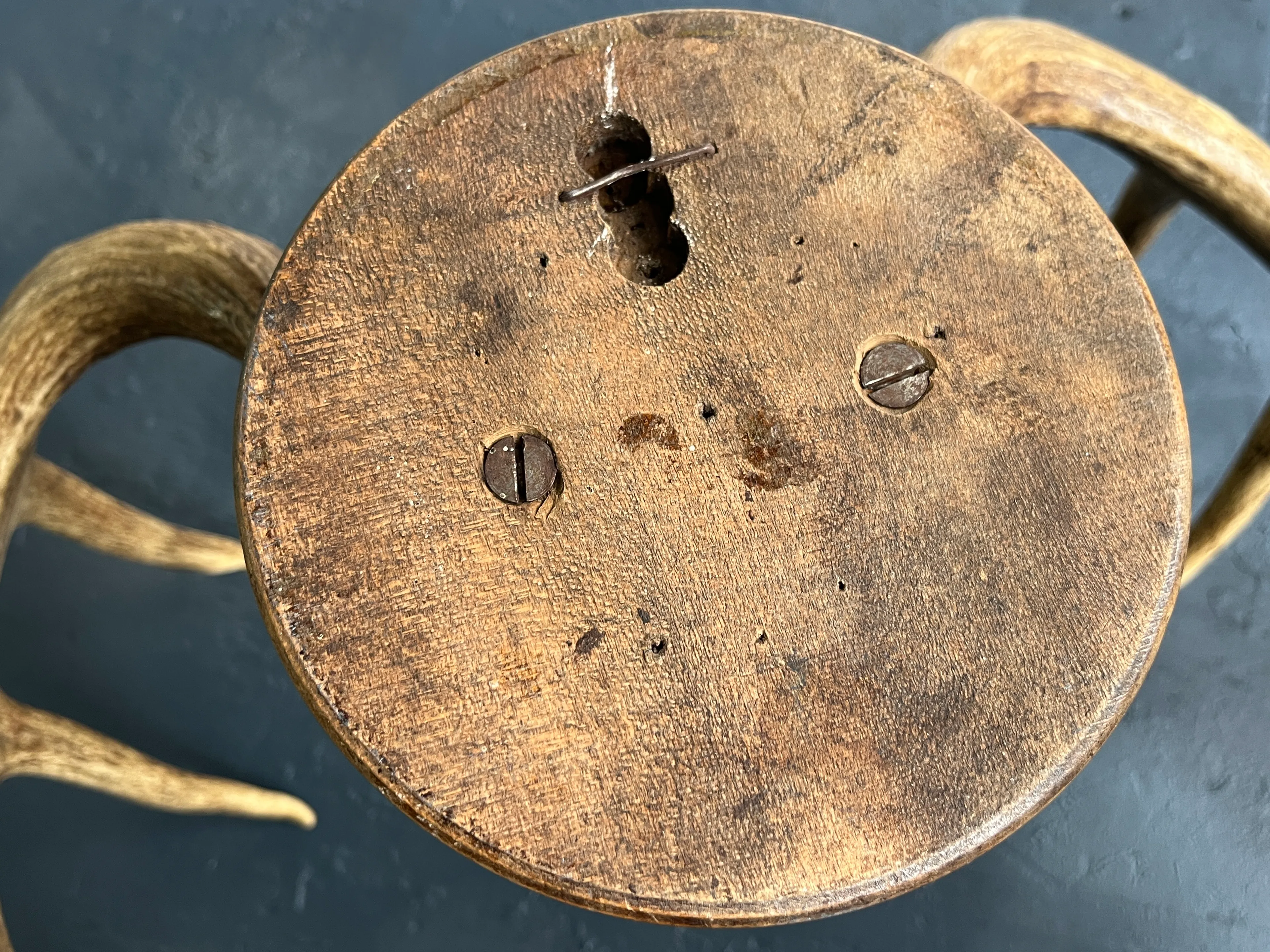 Hirschgeweih 12 Ender