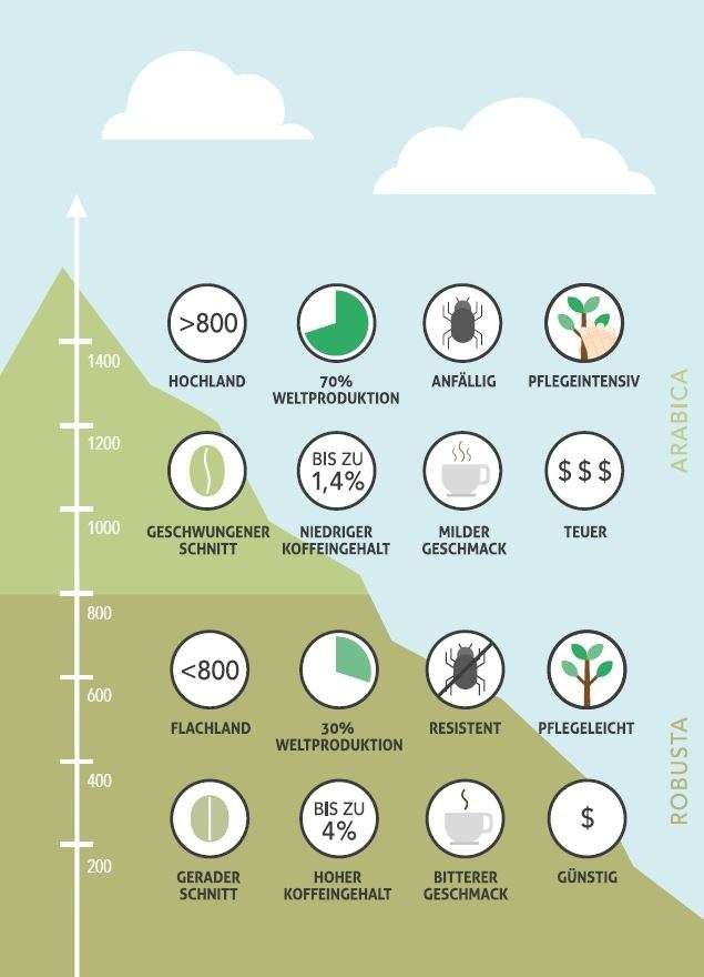 Arabica und Robusta