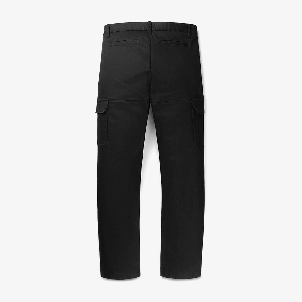 Ecargo Pants