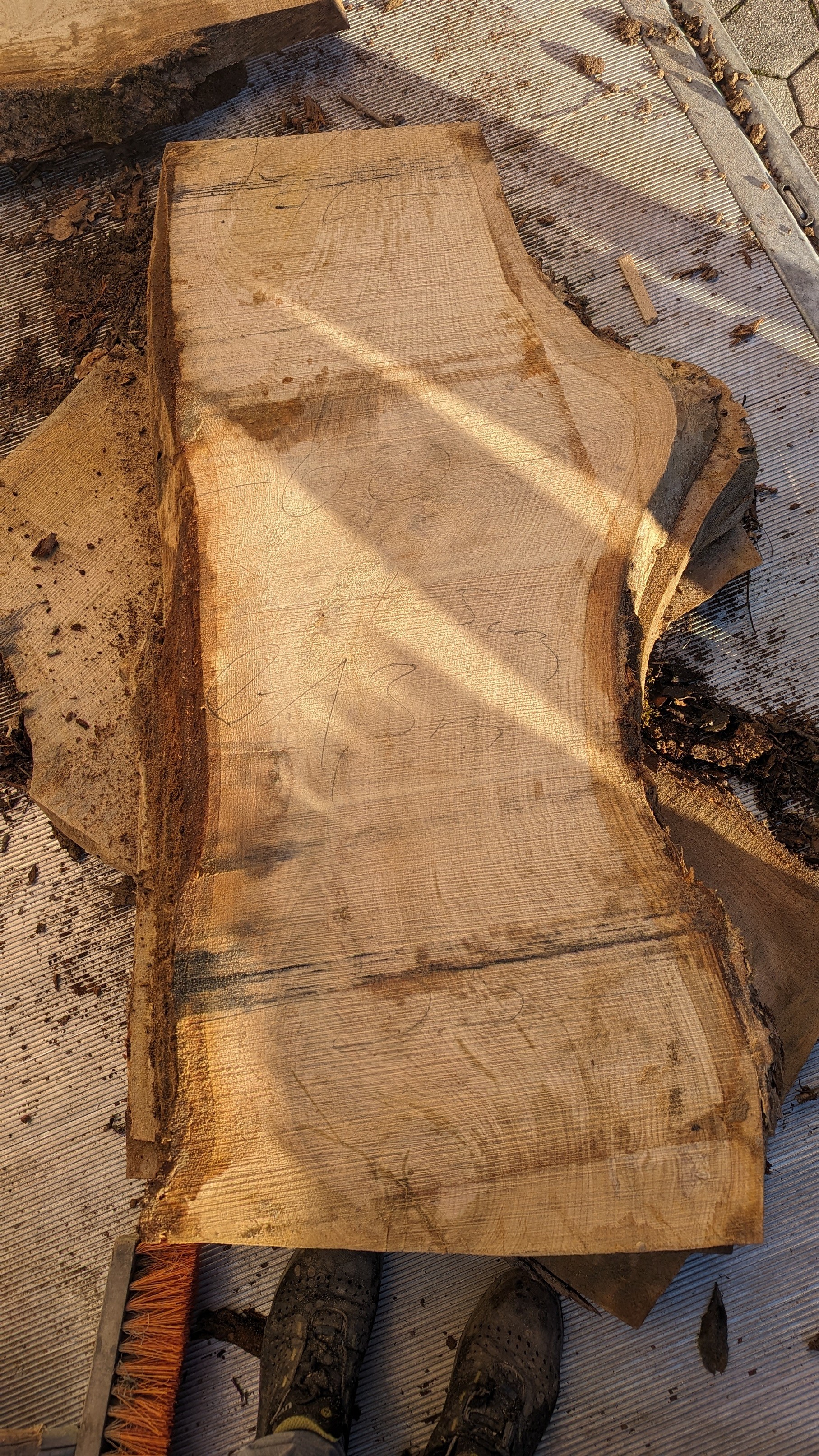 Tischplattenrohling Couchtisch 0,50x1,25cm Eichenholz aus Bachmanning