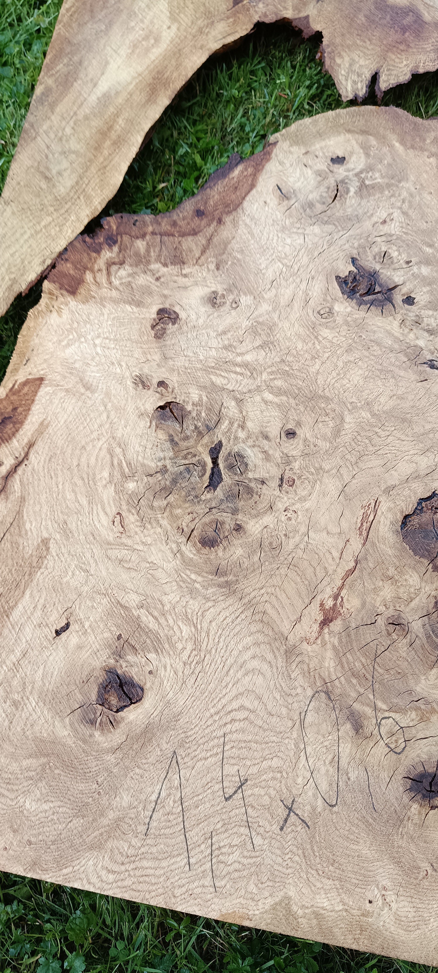 Tischplattenrohling Couchtisch 1,4x0,6m Eichenholz aus Affnang