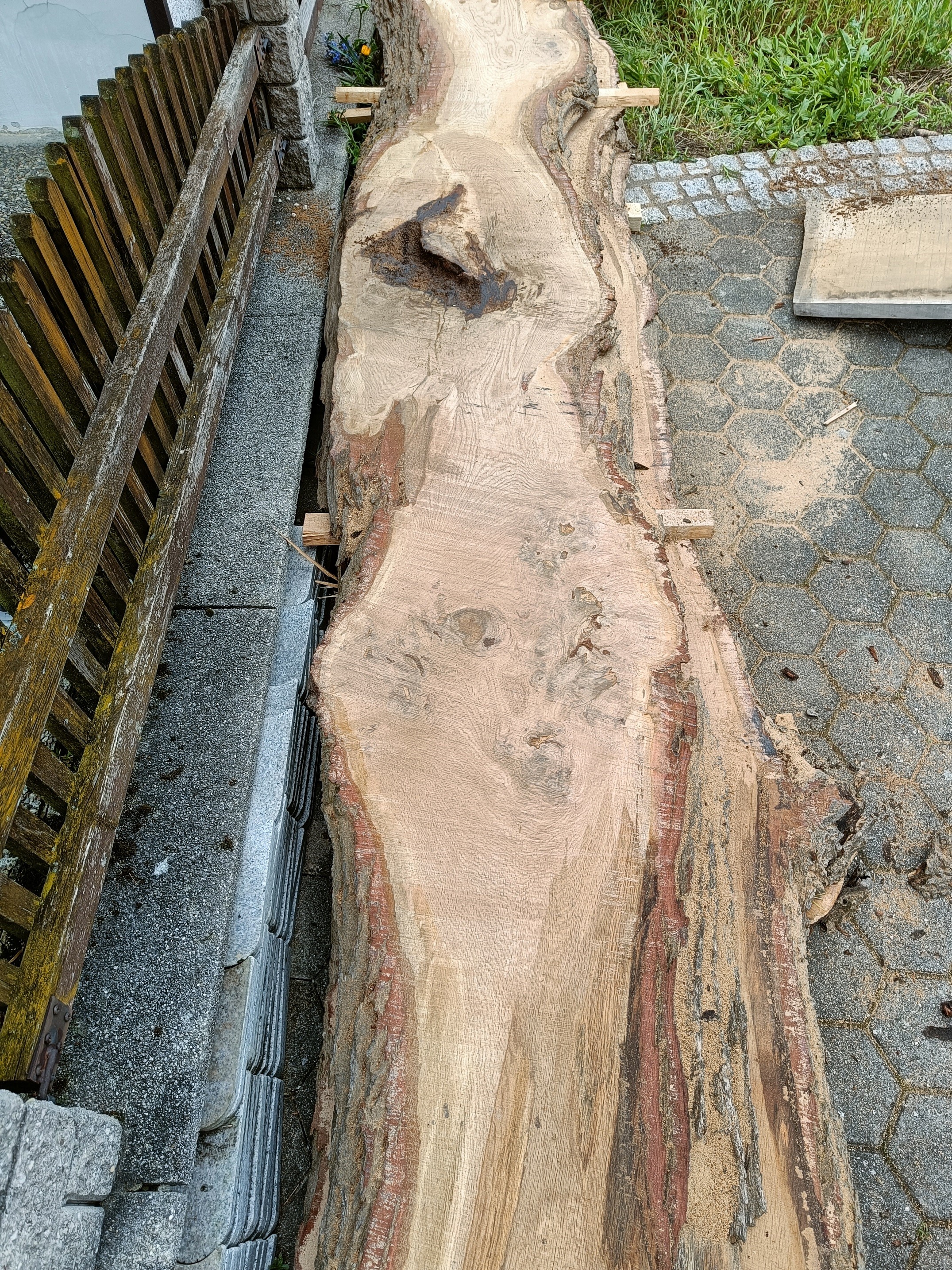 Tischplattenrohling Couchtisch Eichenholz aus Affnang