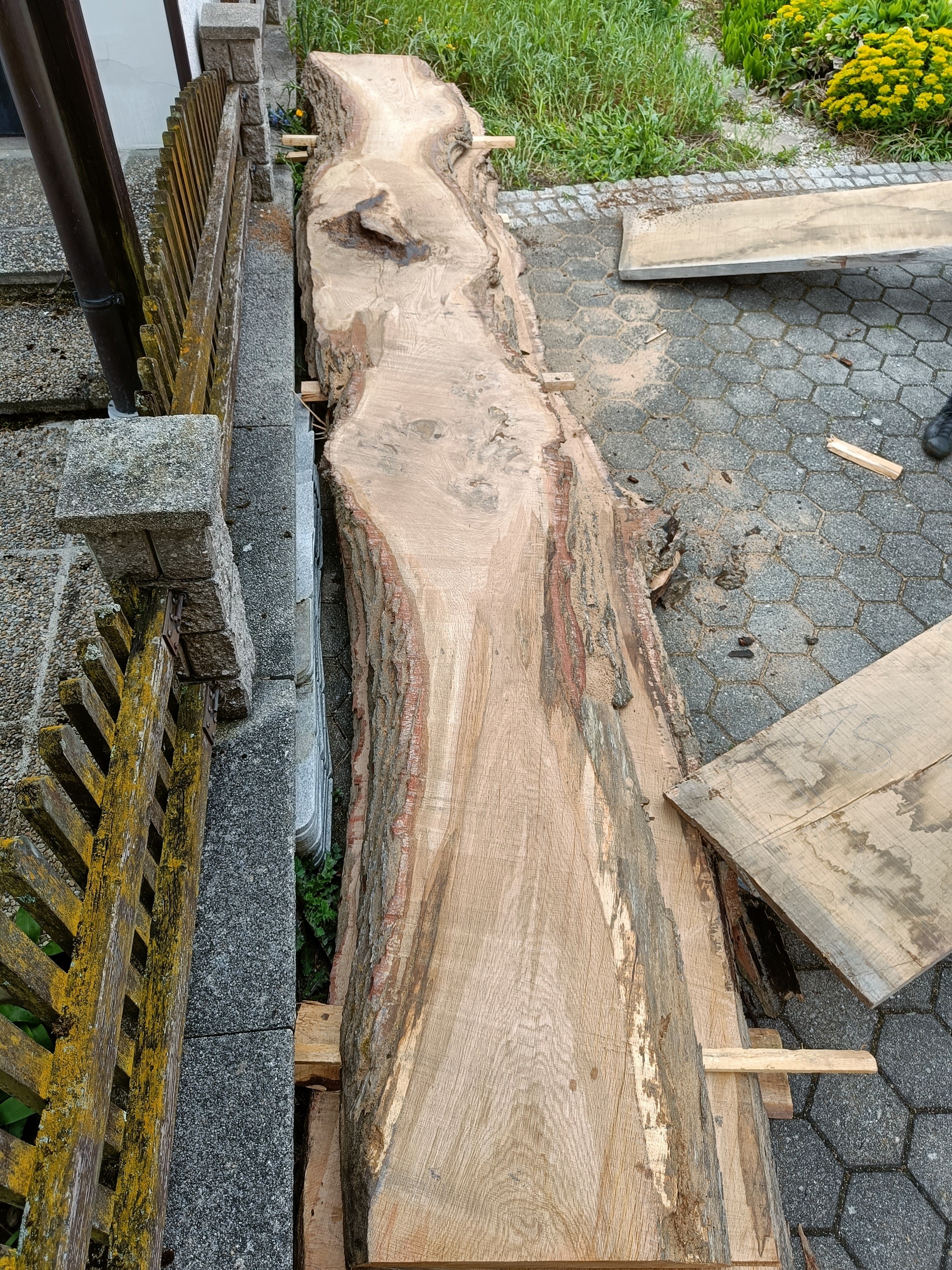 Tischplattenrohling Couchtisch Eichenholz aus Affnang