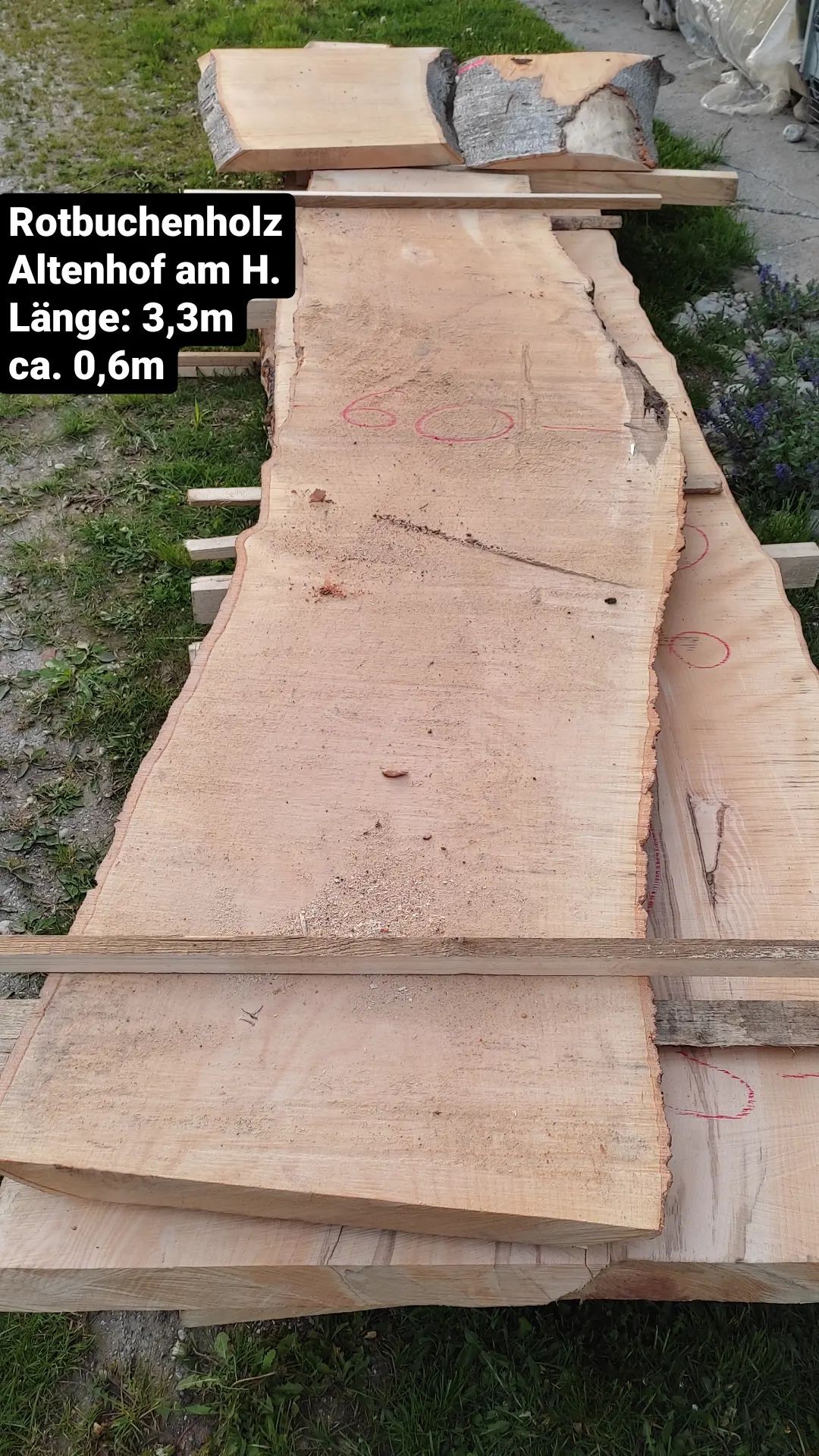Tischplattenrohling Esstisch ca.1,05-0,7m L=4,6m Rotbuchenholz aus Altenhof am Hausruck