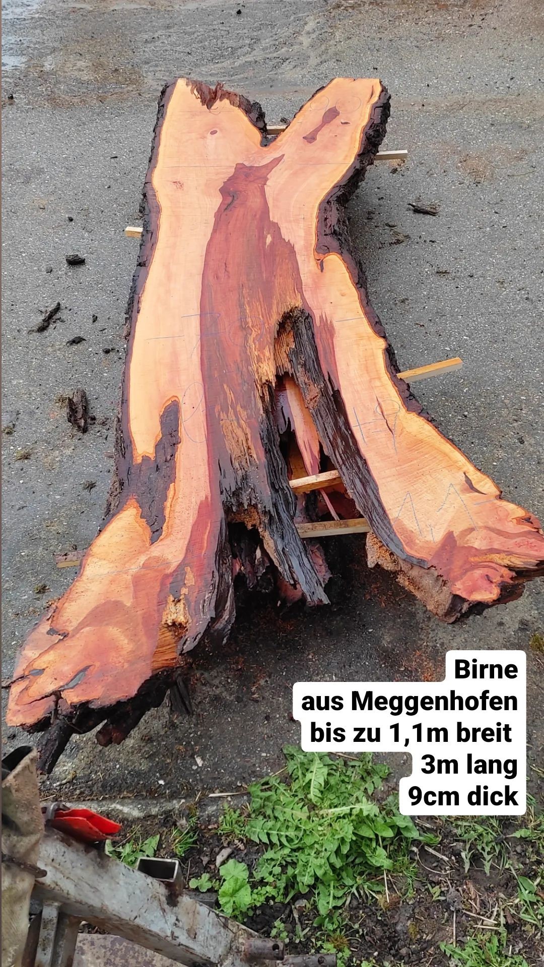 Tischplattenrohling Esstisch ca.1,3-0,6m L=3,1m Birnenholz aus Meggenhofen