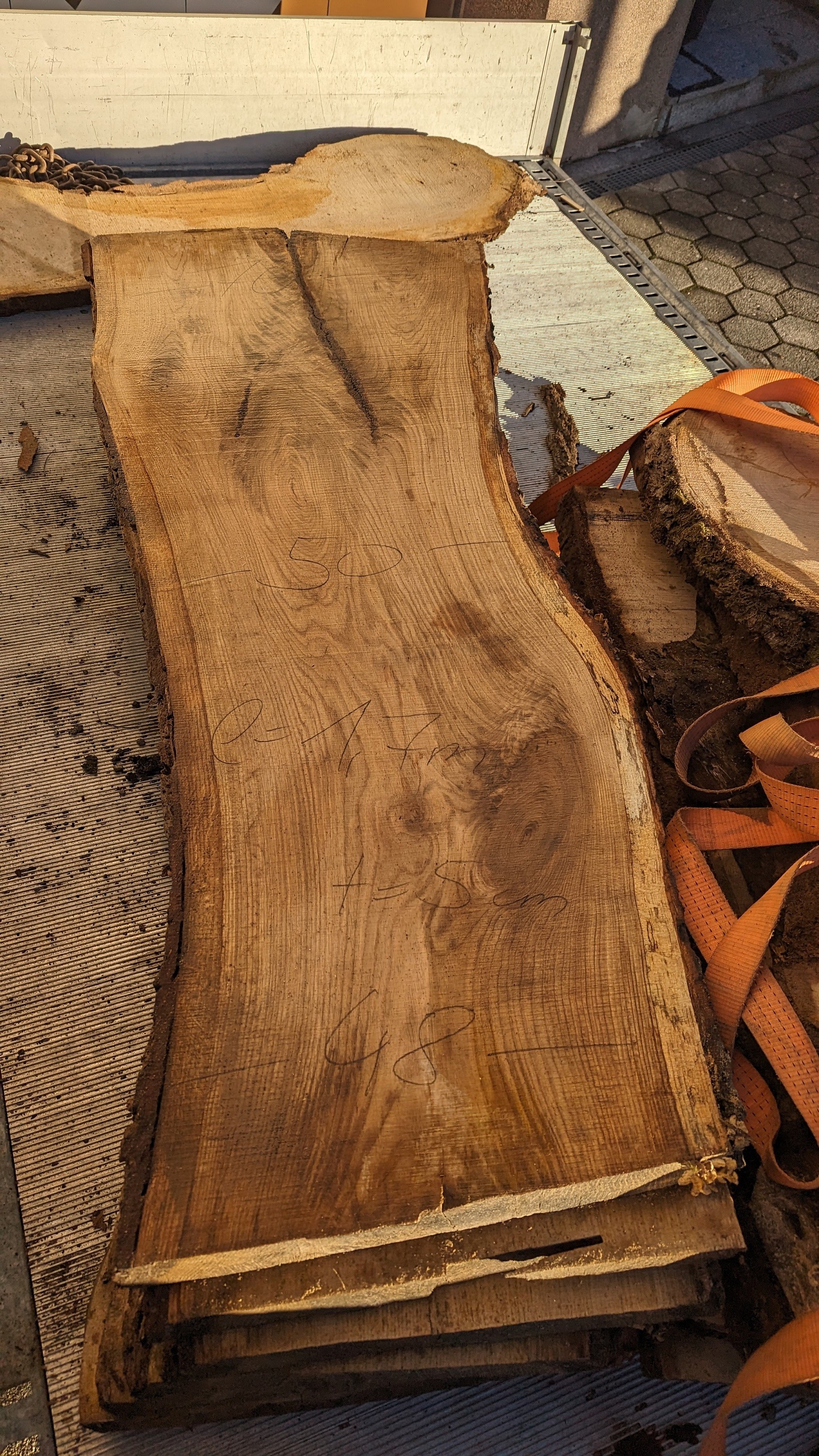 Tischplattenrohling 0,60x1,7cm Eichenholz aus Bachmanning