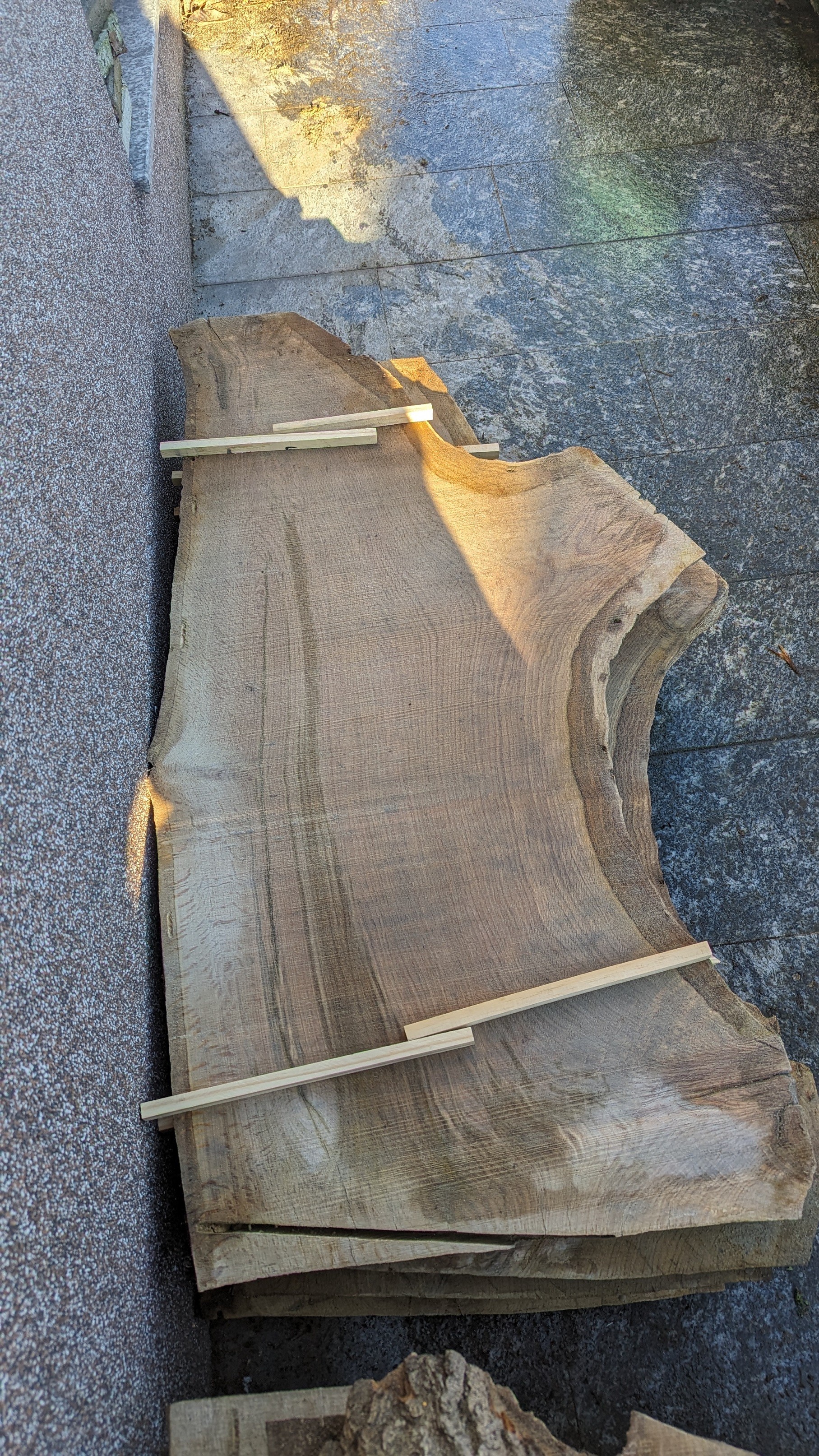 Tischplattenrohling Couchtisch 0,50x1,25cm Eichenholz aus Bachmanning