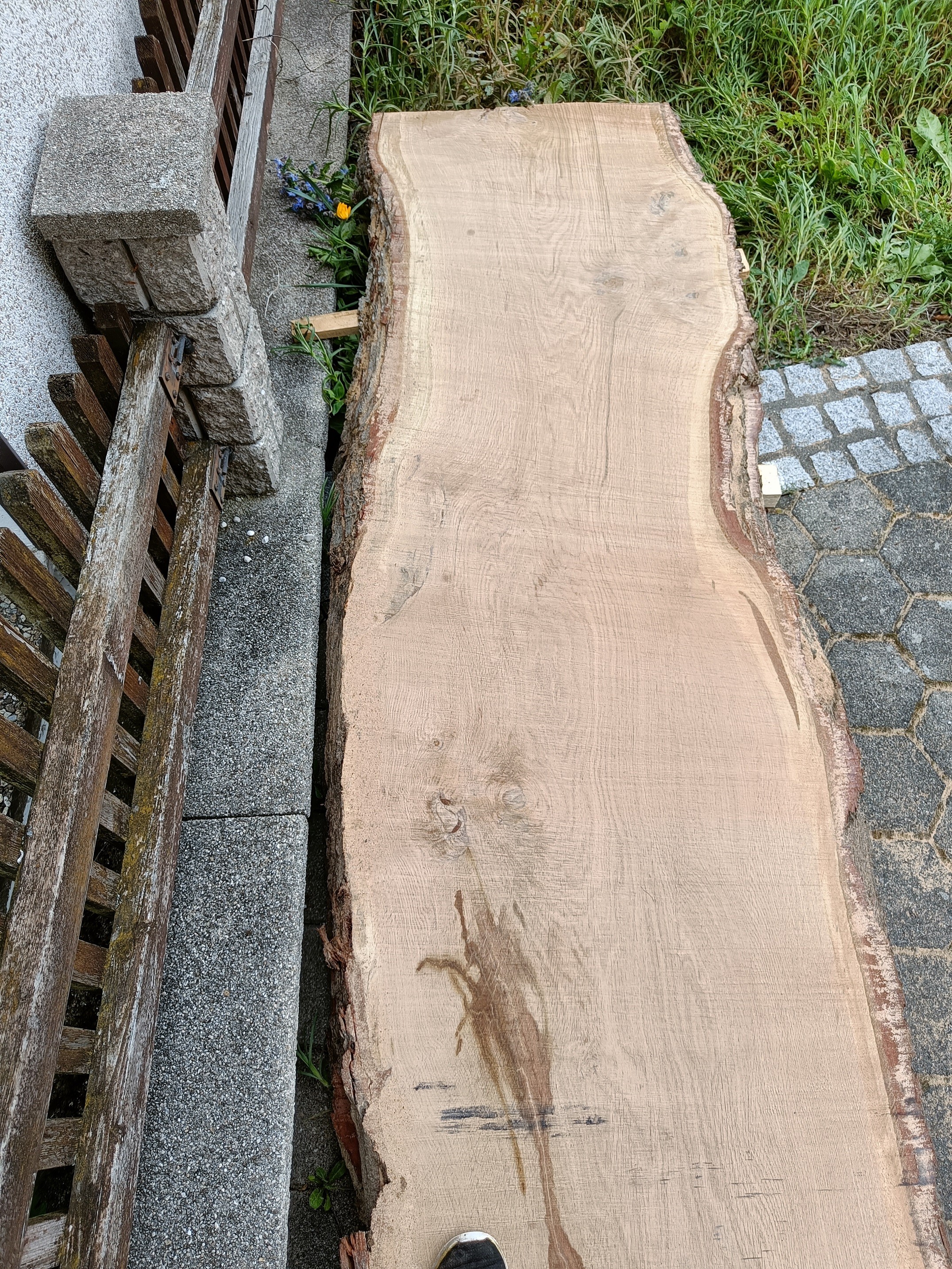 Tischplattenrohling Esstisch 0,8-1m L=4,9m Eichenholz aus Affnang