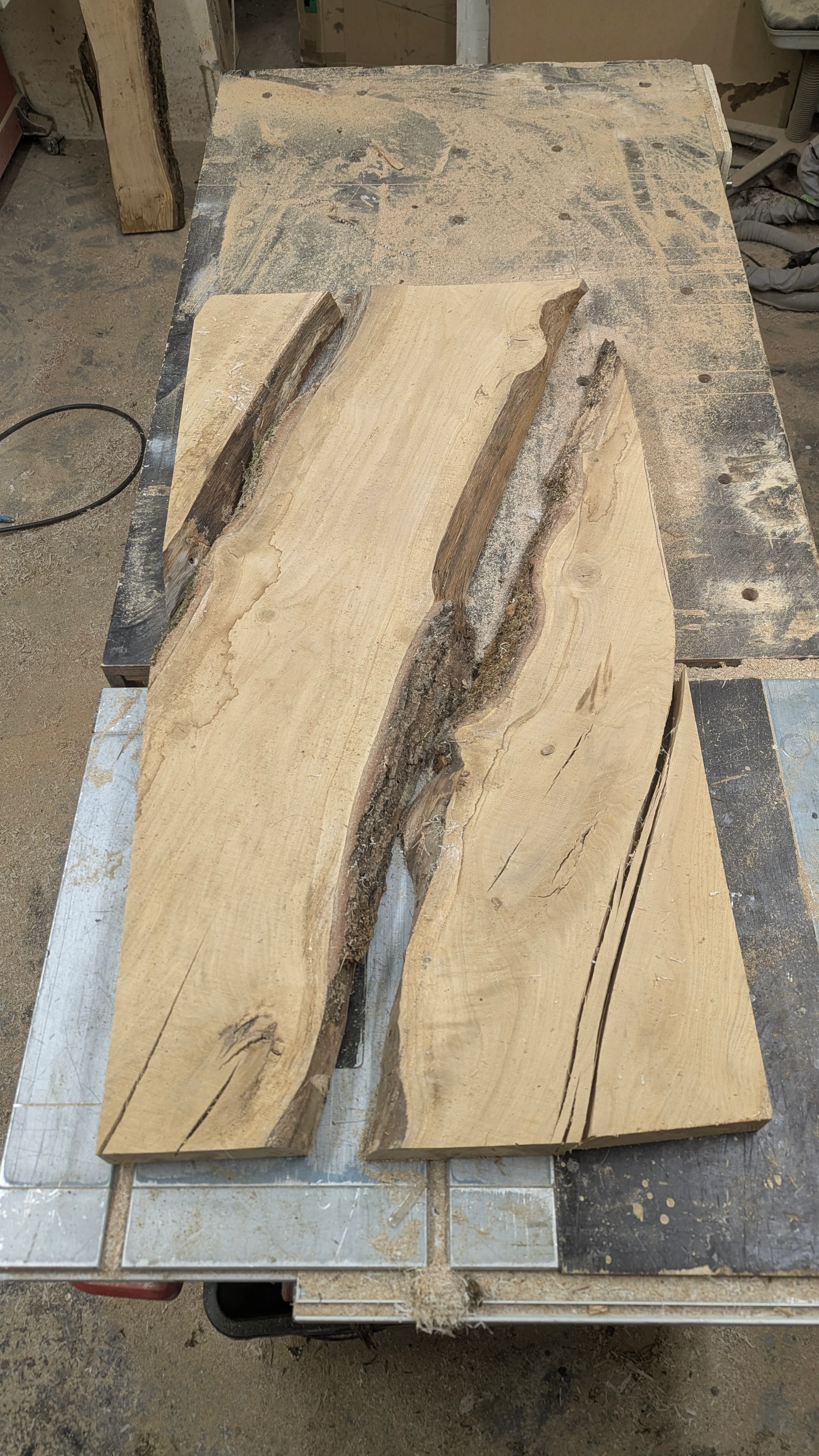 Tischplattenrohling Couchtisch 0,6x1,2m Eichenholz aus Bachmanning