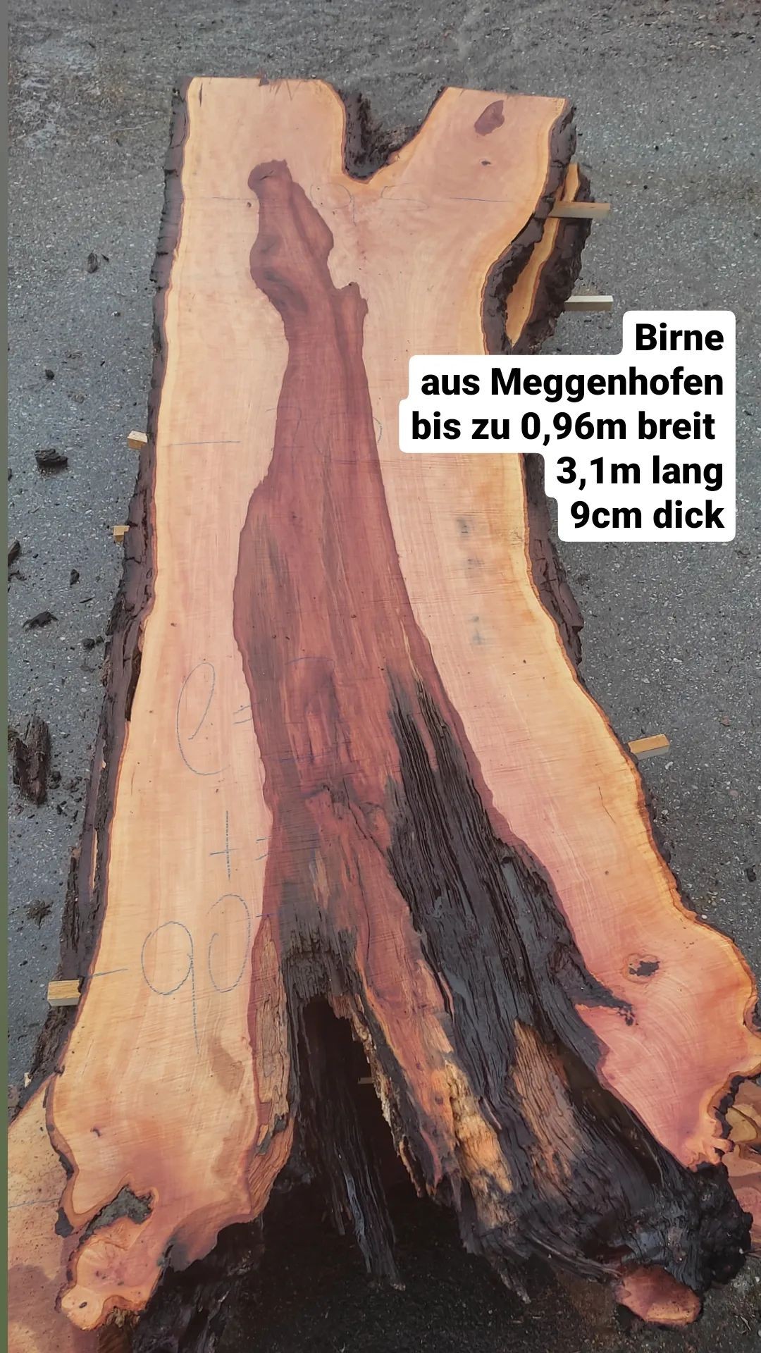 Tischplattenrohling Esstisch ca.1,3-0,6m L=3,1m Birnenholz aus Meggenhofen