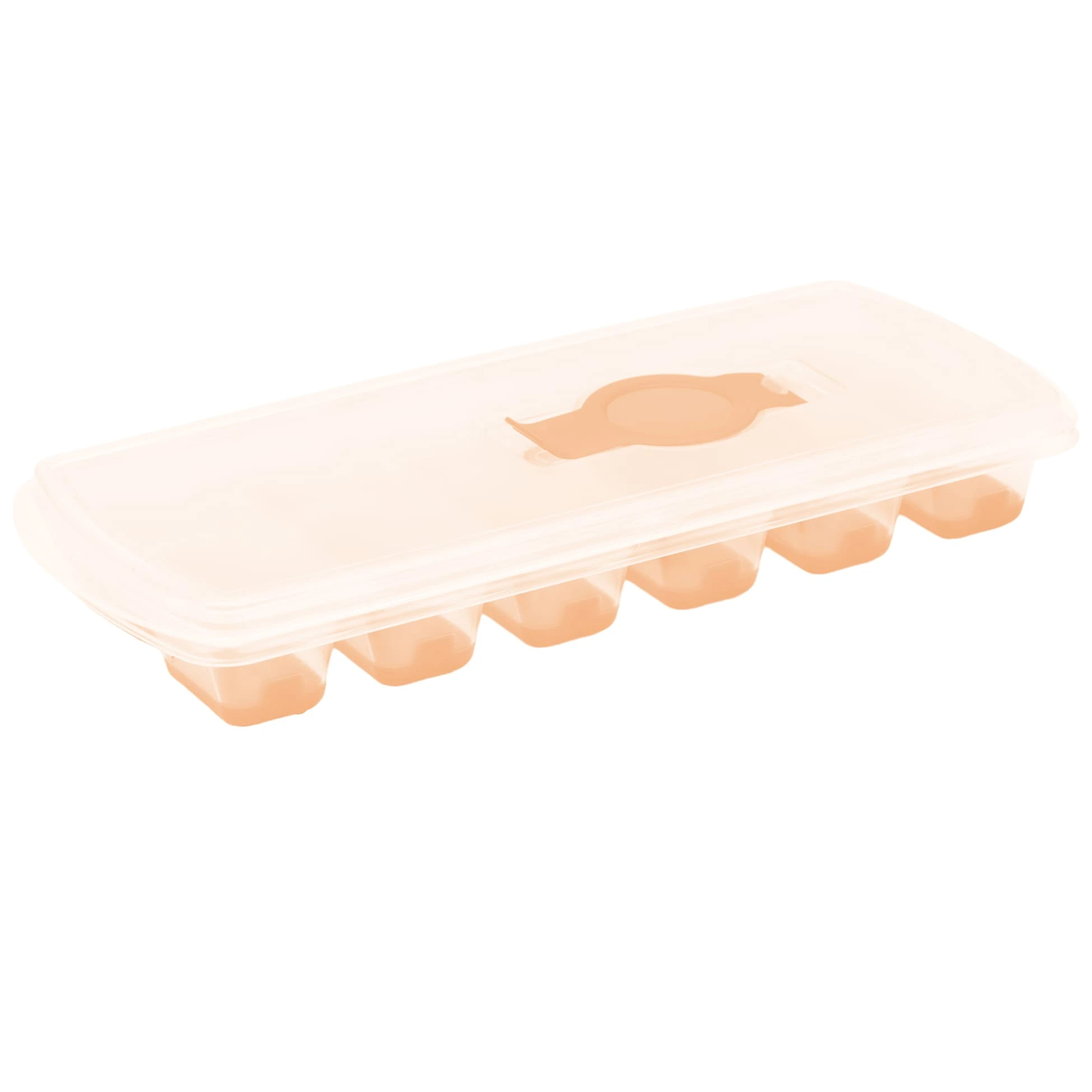 SMART Eiswürfelform mit Deckel - Lachs