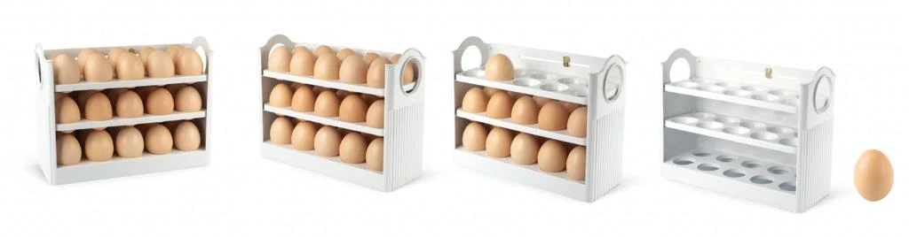 Egg Regal - Transparent