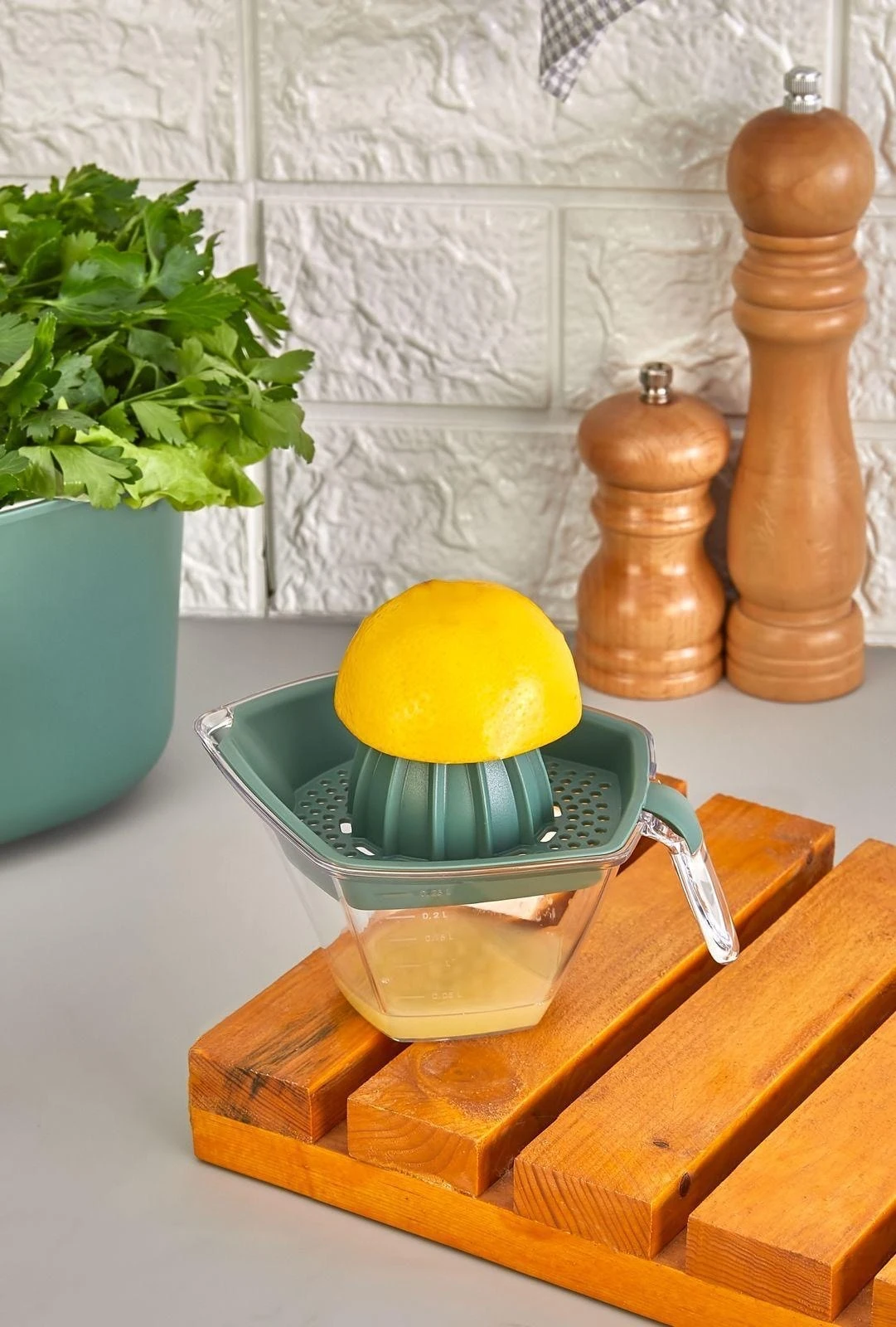 CAZORIA 5-teiliges Set - Grün