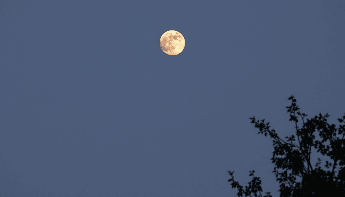 Der Mond: Symbol für Veränderung, Intuition und Weiblichkeit