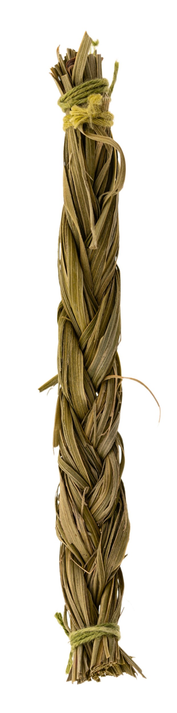 Sweetgrass L: 10 cm