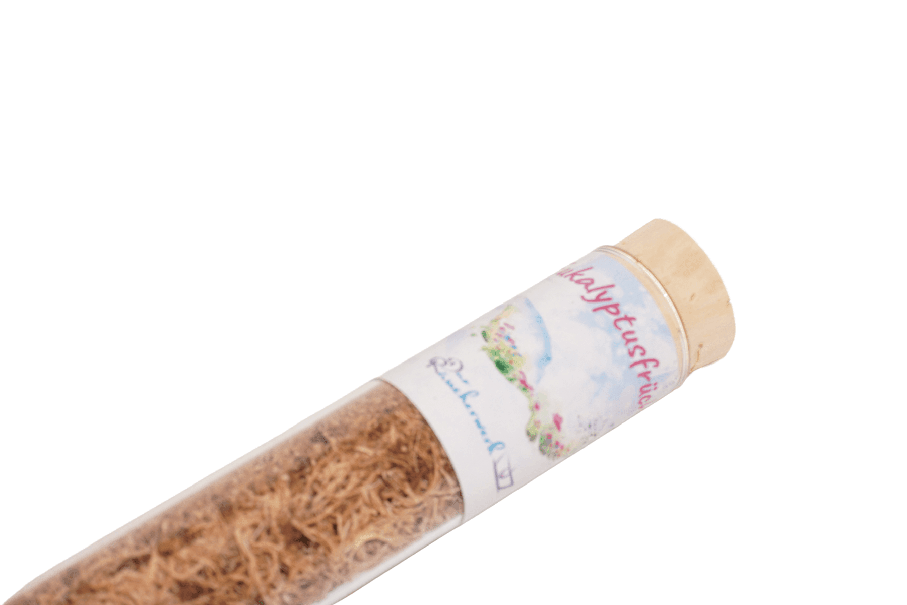 Eukalyptusfrüchte
