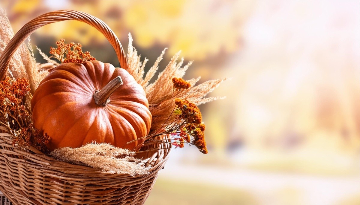 Mabon - Äquinoktium - Herbst - Tagundnachtgleiche