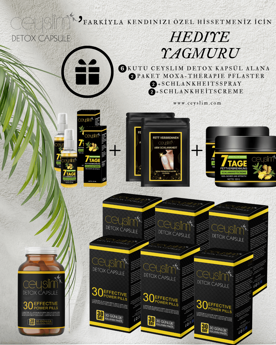 CEYSLIM DETOX+6