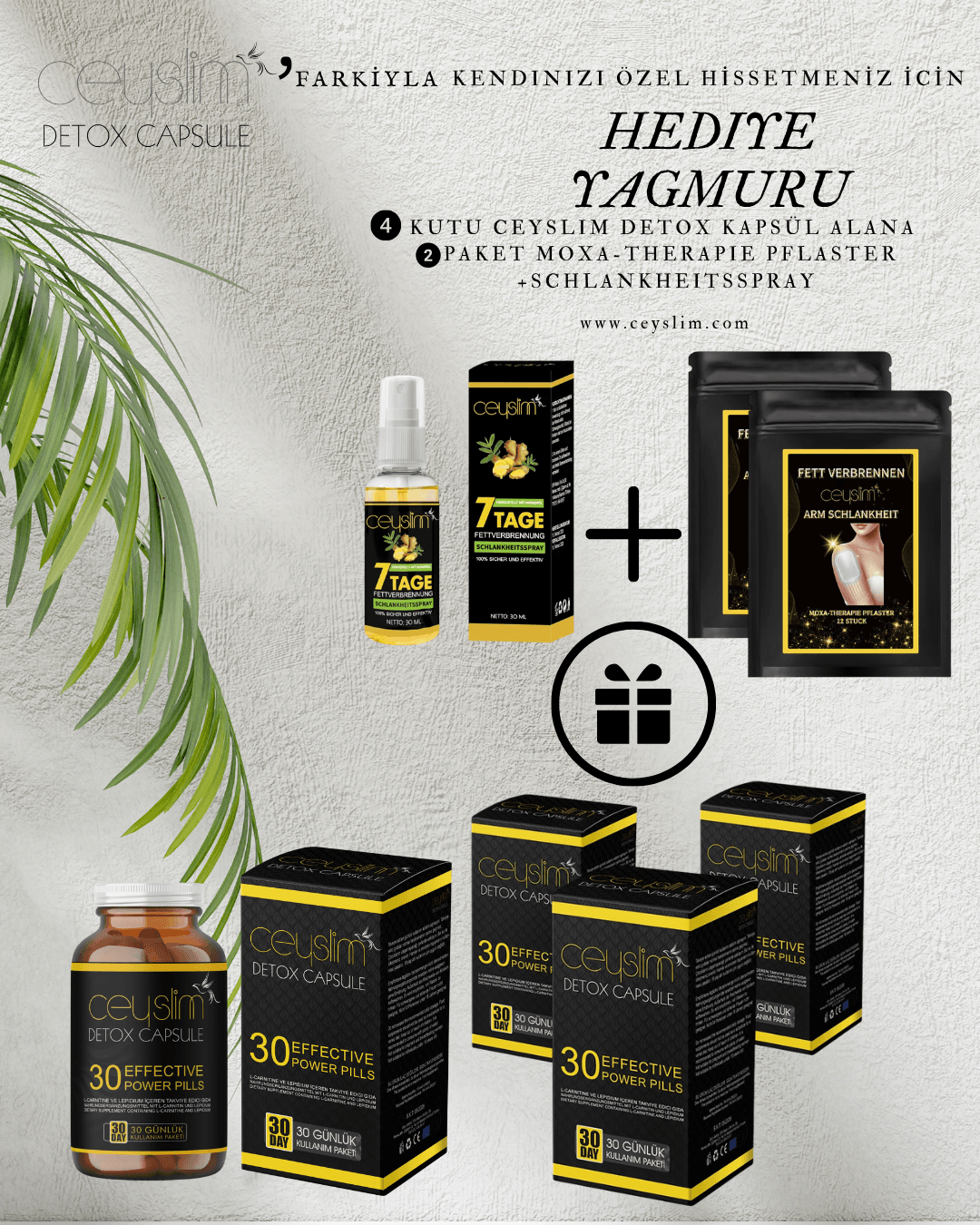 CEYSLIM DETOX+4