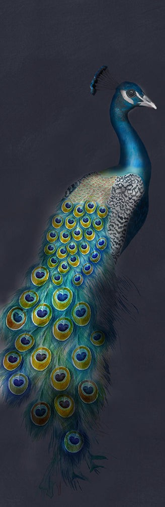 Tapete "Peacock" selbstklebend