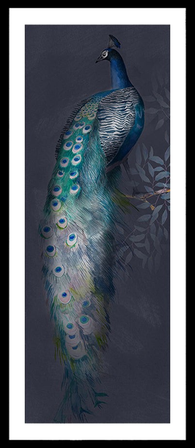 Wandbild klein aber fein "Pfau"