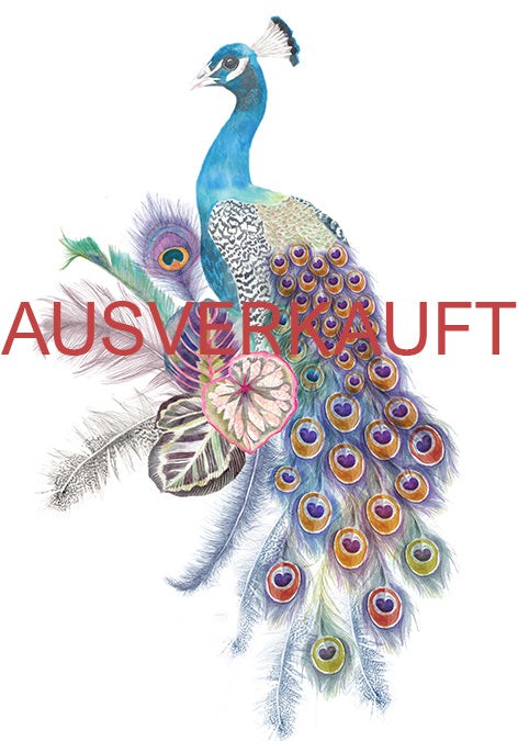 Posterdruck "Pfau"