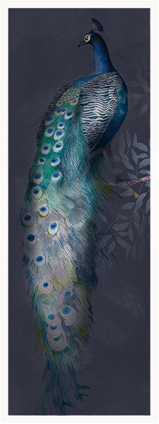 Wandbild klein aber fein "Pfau"